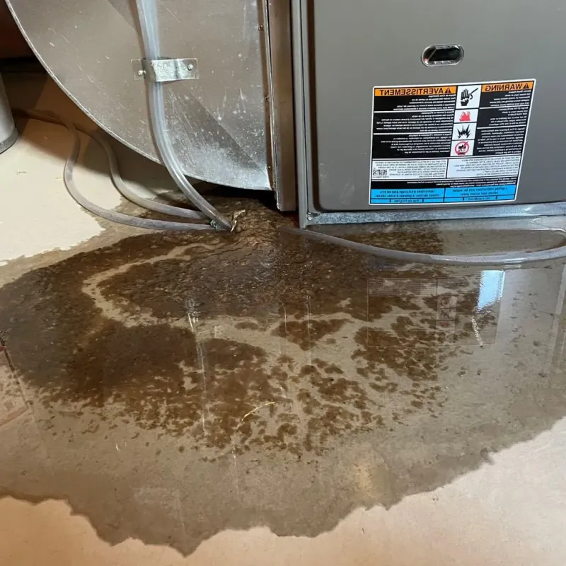 Pipe Burst and Leak Restoration in Lemoyne, PA